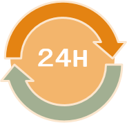 24h2